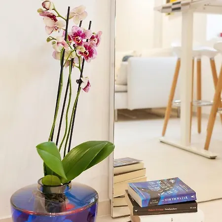 In Ortigia Apartment *